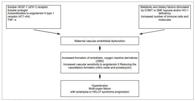 The role of endothelial dysfunction in the genesis of preeclampsia and ways to prevent its occurrence in the subsequent pregnancy